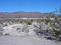 vallée de la mort  (13).JPG